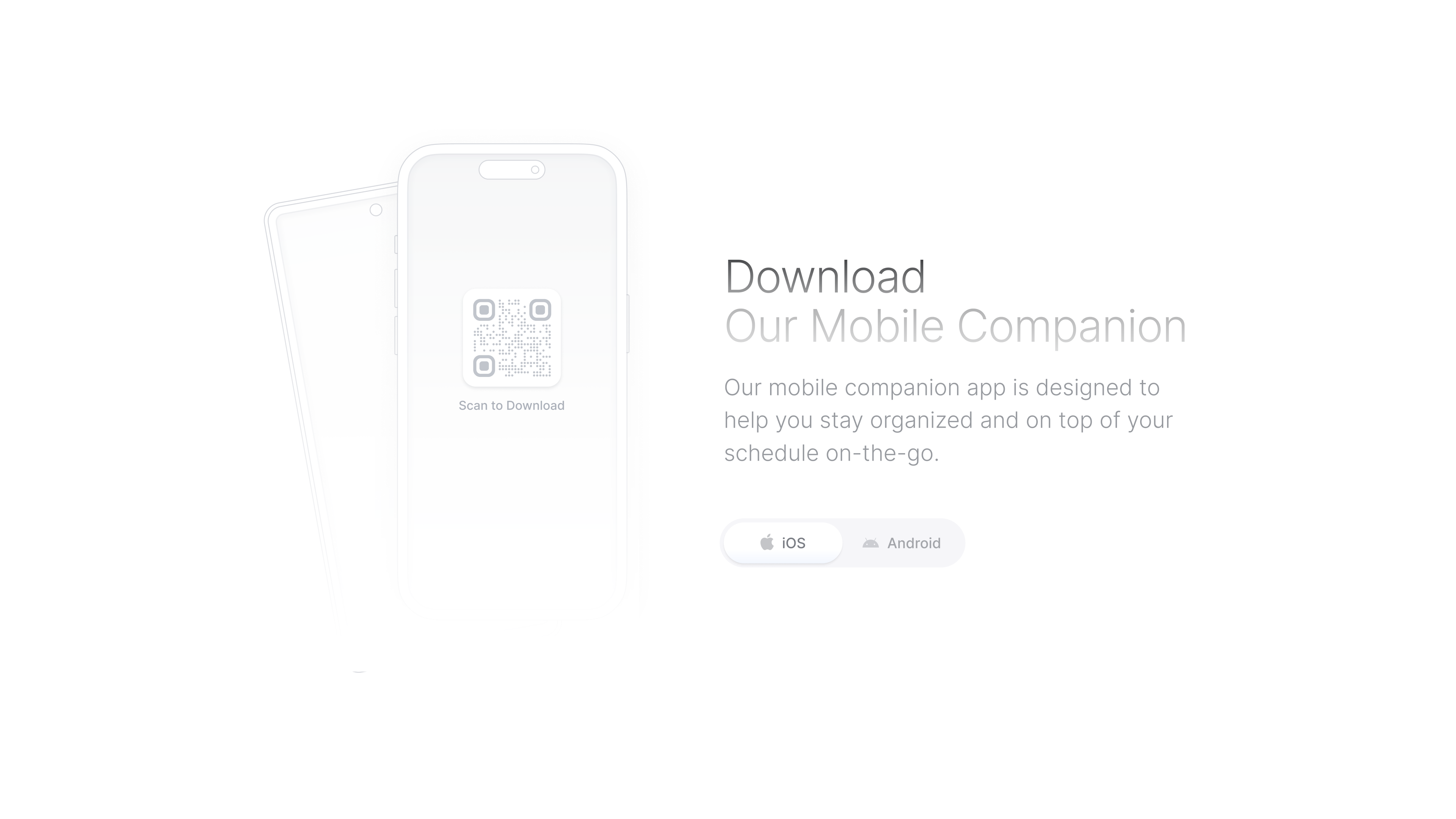 Daybridge, Website Footer